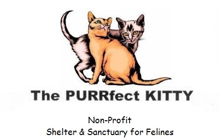 Pet Pride of New York is a no-kill, cats only, shelter